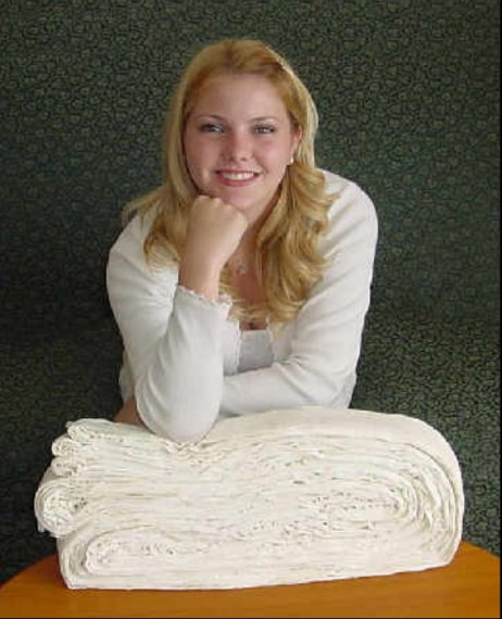 gallivan folding paper