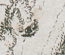 plassend-vrouwtje-small